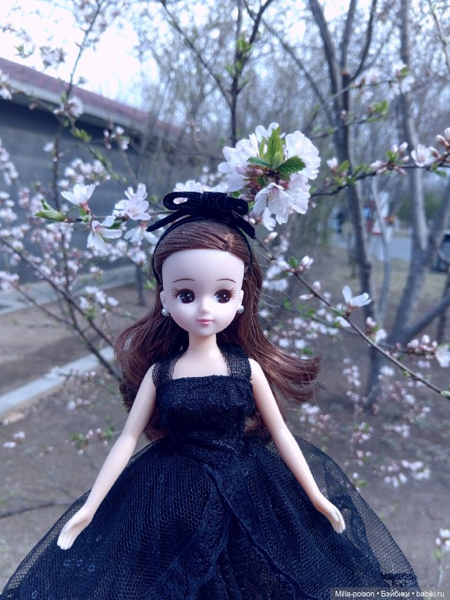 The Lady in Black — Куклы Takara Tomy (Такара): Licca (Ликка) (фото 2)