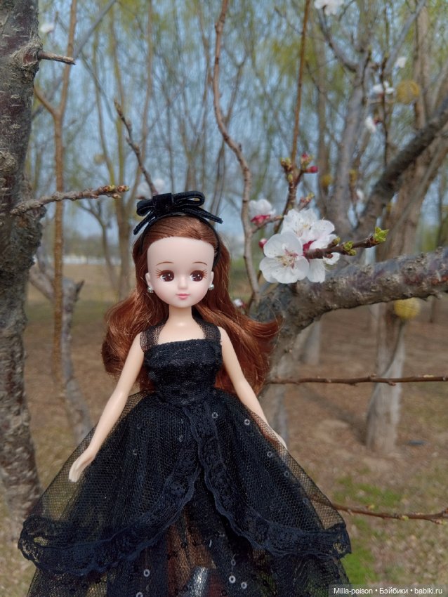 The Lady in Black — Куклы Takara Tomy (Такара): Licca (Ликка) (фото 10)