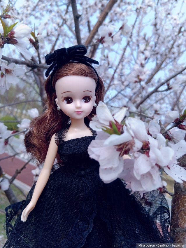 The Lady in Black — Куклы Takara Tomy (Такара): Licca (Ликка) (фото 8)
