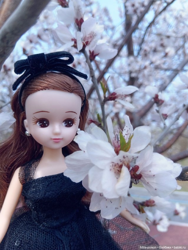 The Lady in Black — Куклы Takara Tomy (Такара): Licca (Ликка) (фото 9)