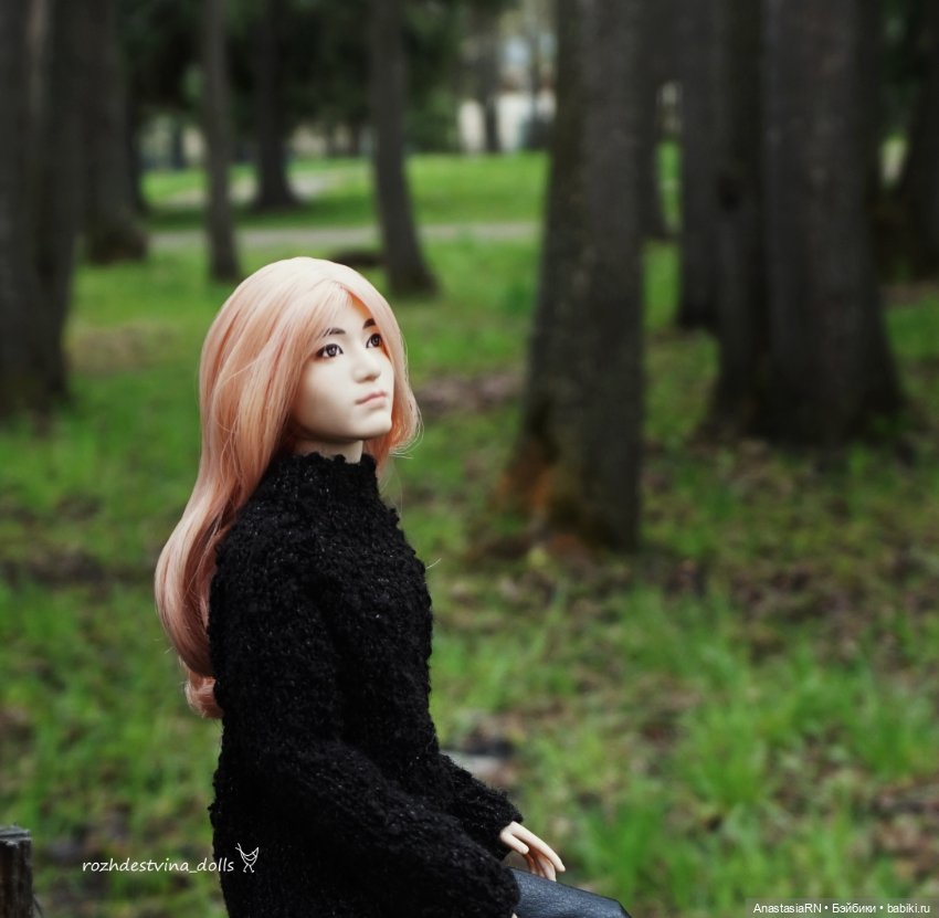 Прогулка с сохоббитами — Куклы BTS (БТС) от Mattel: K (фото 6)