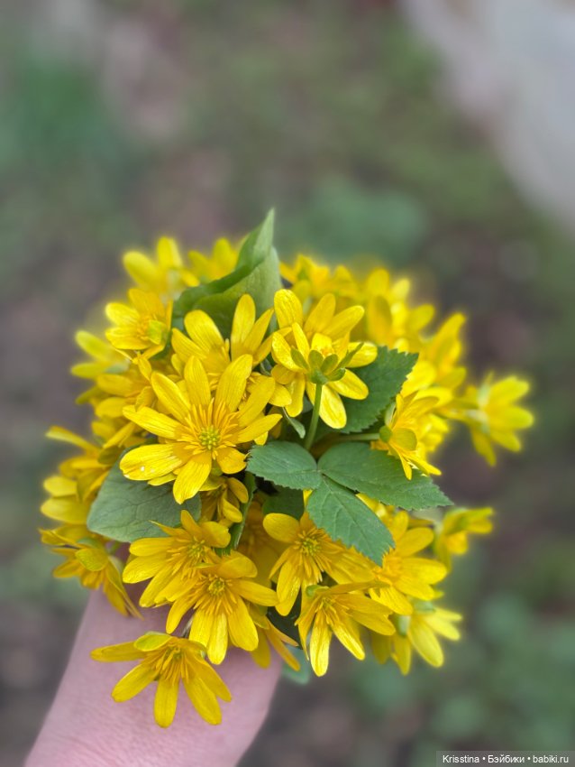 Моя лапуля 🎀 — Куклы Реборн (Reborn): работы мастеров (фото 5)