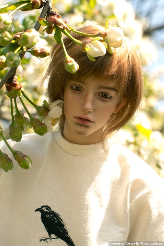 Сиэль. Весна — Авторские куклы BJD (БЖД) у нас дома: фото (фото 2)