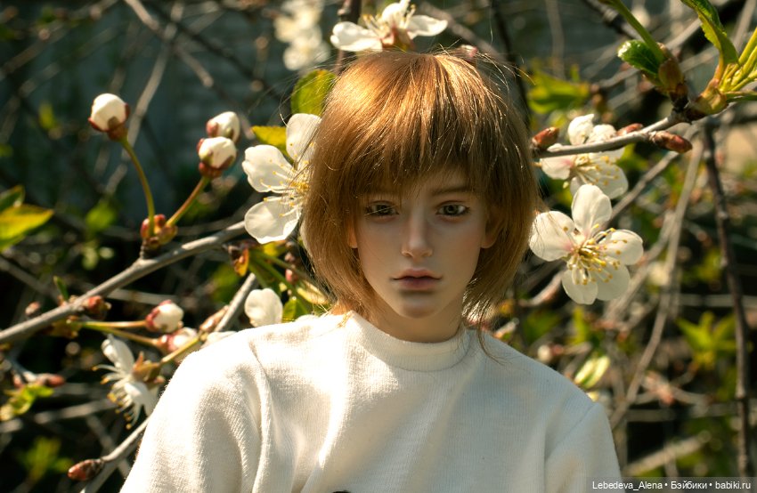 Сиэль. Весна — Авторские куклы BJD (БЖД) у нас дома: фото (фото 5)