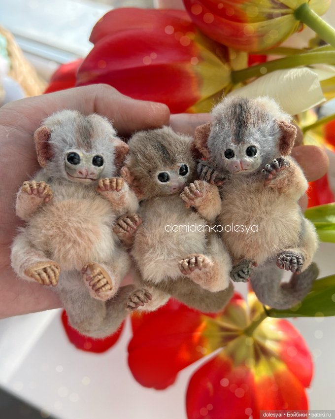 Миниатюрные обезьянки тамарины 🍌🐒