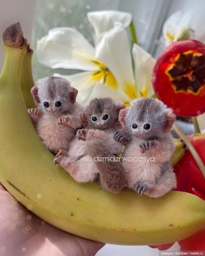 Миниатюрные обезьянки тамарины 🍌🐒 (фото 2)