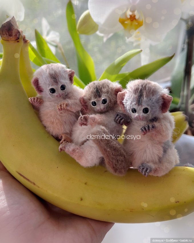 Миниатюрные обезьянки тамарины 🍌🐒 (фото 5)