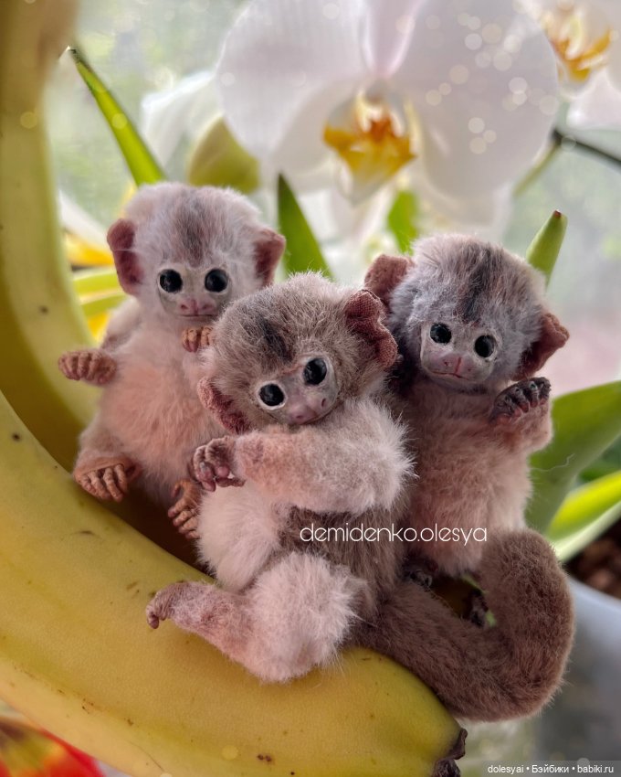 Миниатюрные обезьянки тамарины 🍌🐒 (фото 4)