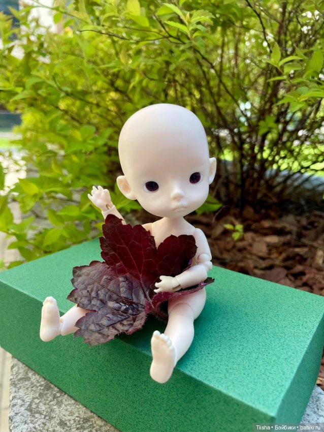 Jacoosun mini Rou — Разные куклы BJD (БЖД): редкие бренды