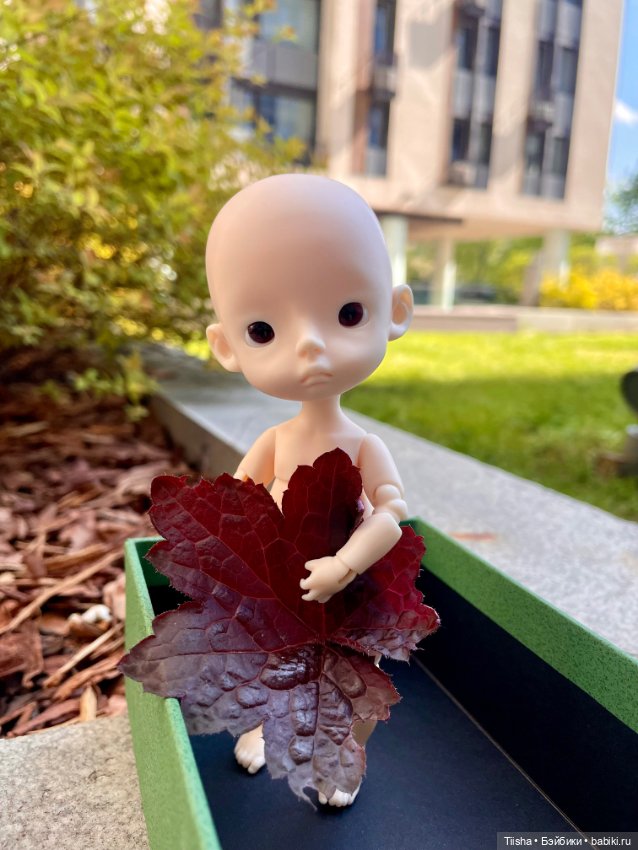 Jacoosun mini Rou — Разные куклы BJD (БЖД): редкие бренды