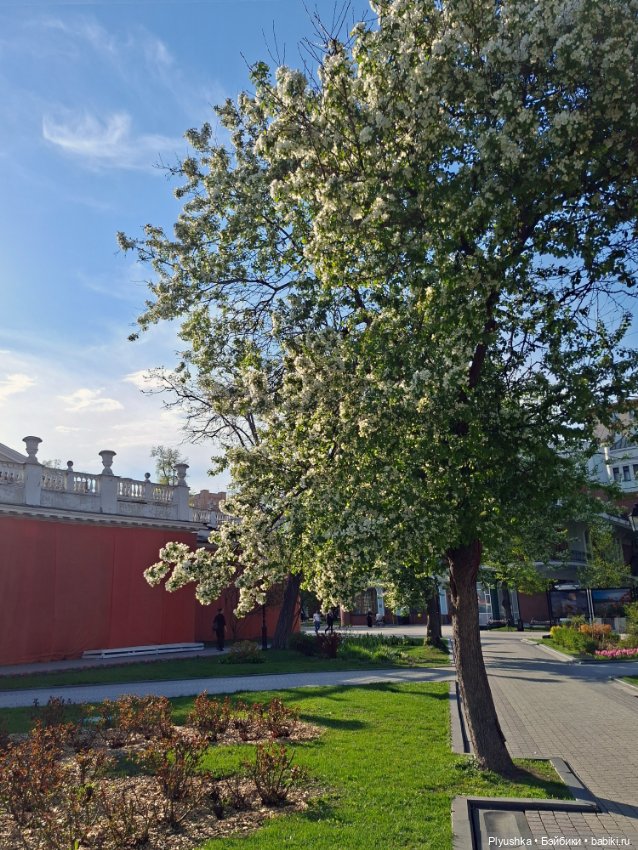 Тихая Москва, сад Эрмитаж и Джейки