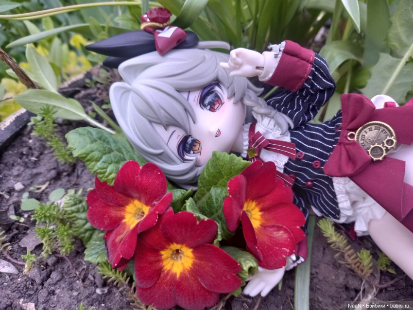Воот это дааа — Разные куклы BJD (БЖД): редкие бренды (фото 8)