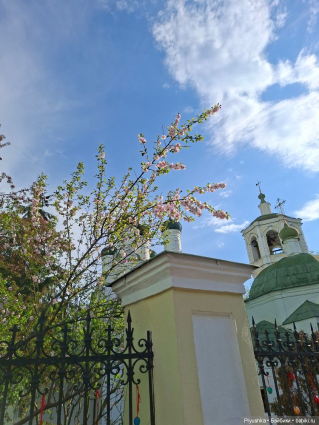 Тихая Москва, сад Эрмитаж и Джейки (фото 10)