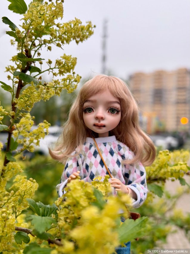 Пошуршим с Жу — Разные куклы BJD (БЖД): редкие бренды (фото 10)