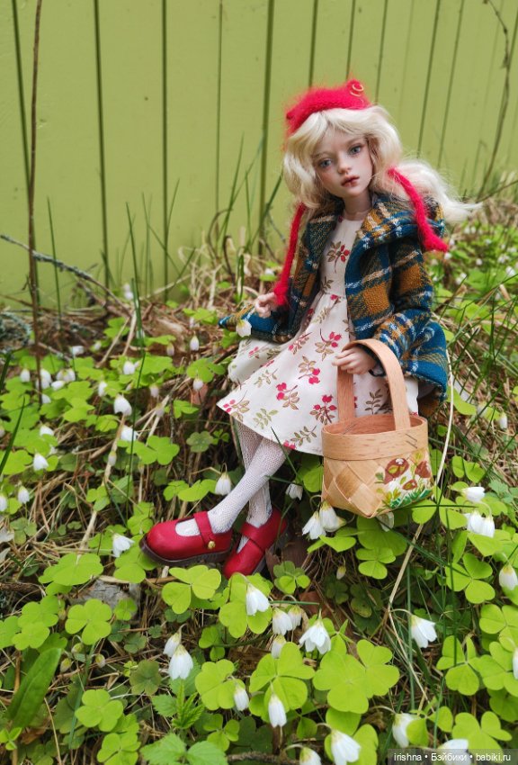 Иден и весна — Разные куклы BJD (БЖД): редкие бренды
