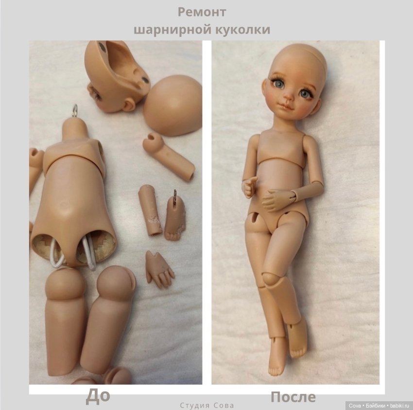 Вот почему нельзя давать кукол собакам🫣