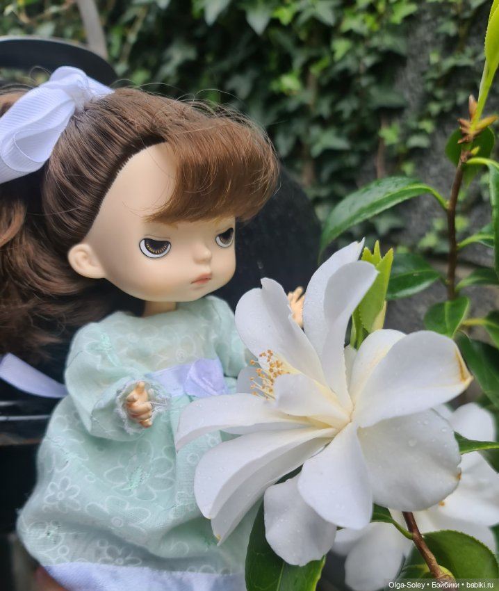 Цветочные зарисовки — Куклы Xiaomi Monst (Сяоми) и Pipitom: шарнирные