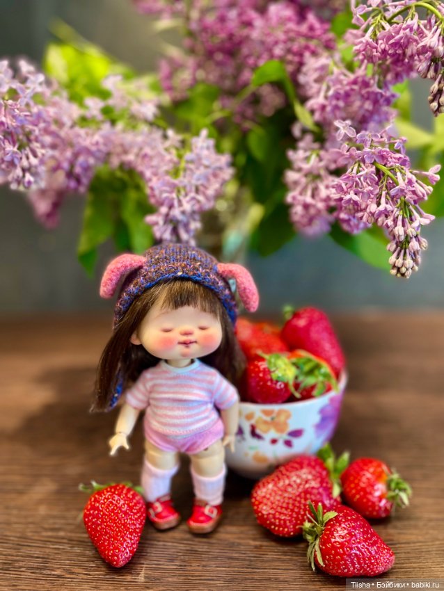 Сплюшка Yeyedoll — Разные куклы BJD (БЖД): редкие бренды