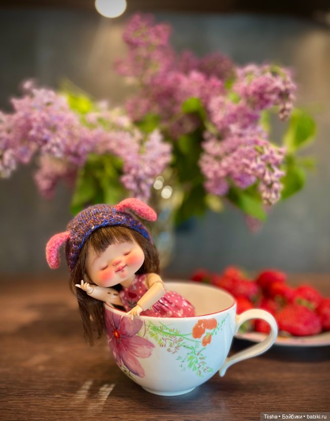 Сплюшка Yeyedoll — Разные куклы BJD (БЖД): редкие бренды