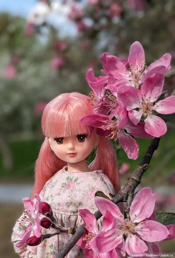 В Коломенском — Куклы Takara Tomy (Такара): Licca (Ликка)
