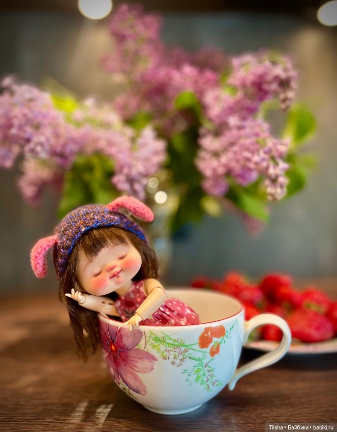 Сплюшка Yeyedoll — Разные куклы BJD (БЖД): редкие бренды