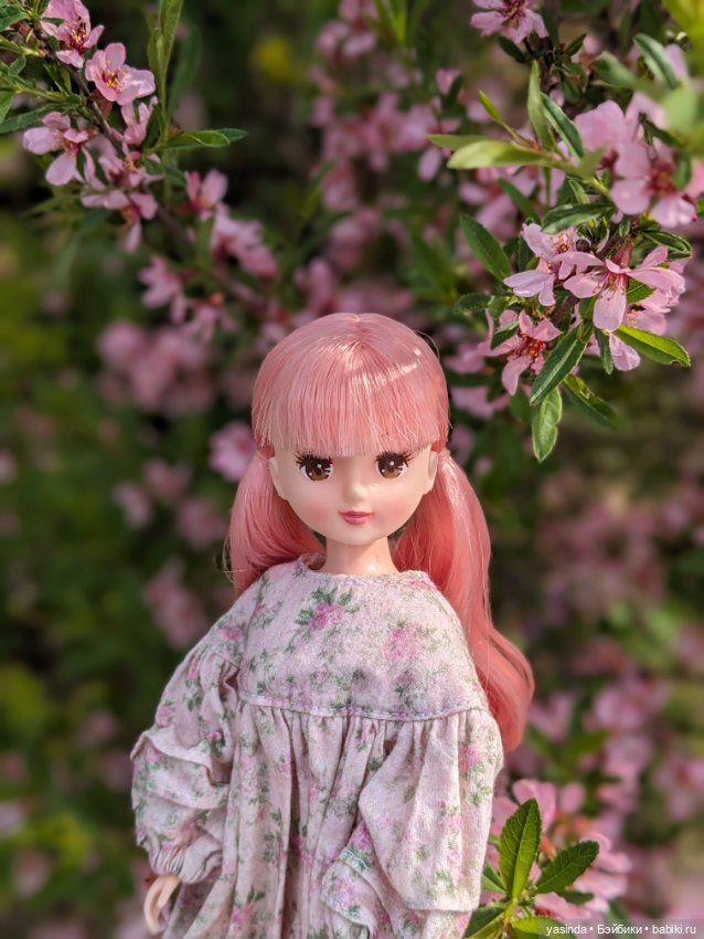 В Коломенском — Куклы Takara Tomy (Такара): Licca (Ликка)