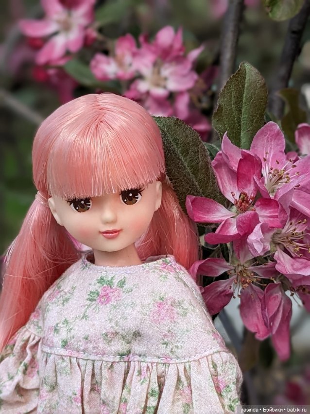 В Коломенском — Куклы Takara Tomy (Такара): Licca (Ликка) (фото 9)