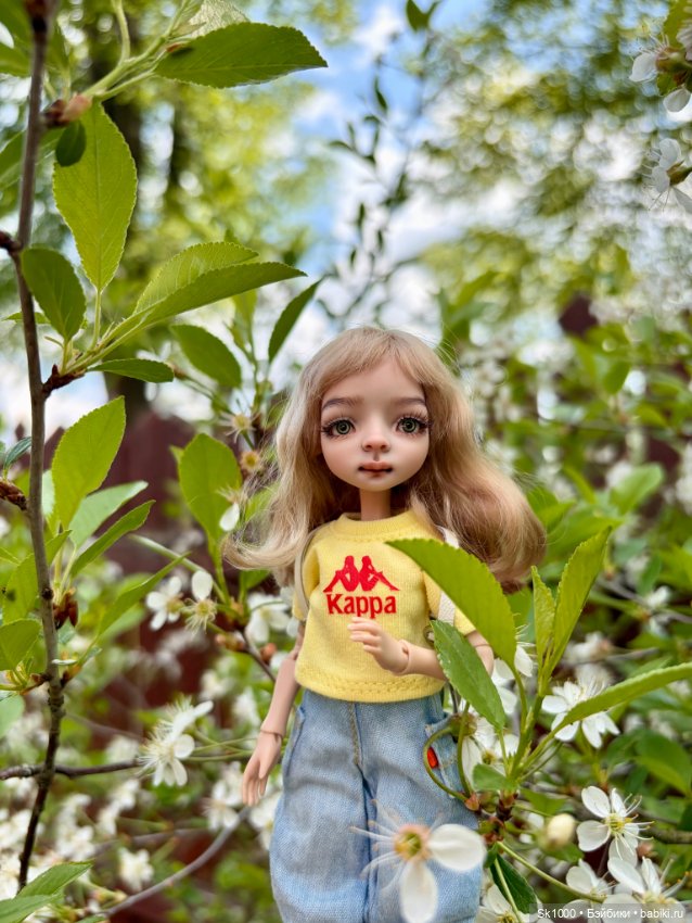 Деревенский вайб Жу — Разные куклы BJD (БЖД): редкие бренды