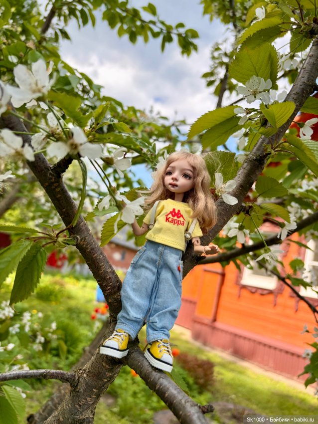Деревенский вайб Жу — Разные куклы BJD (БЖД): редкие бренды (фото 6)