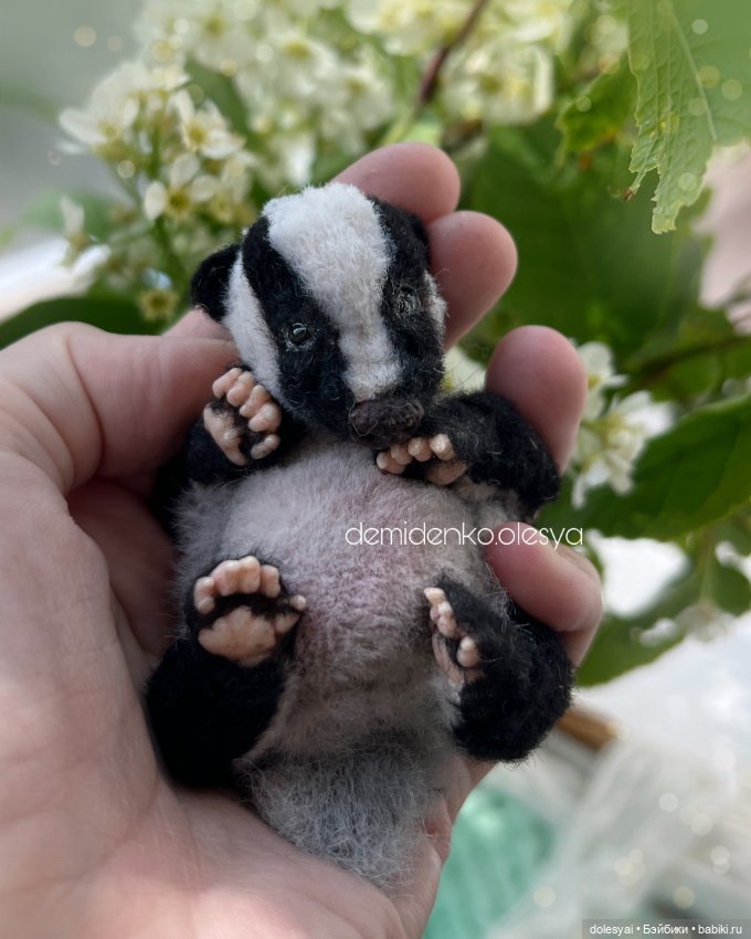 Миниатюрный барсук Батат 🍠🦡 (фото 3)