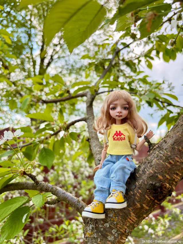 Деревенский вайб Жу — Разные куклы BJD (БЖД): редкие бренды