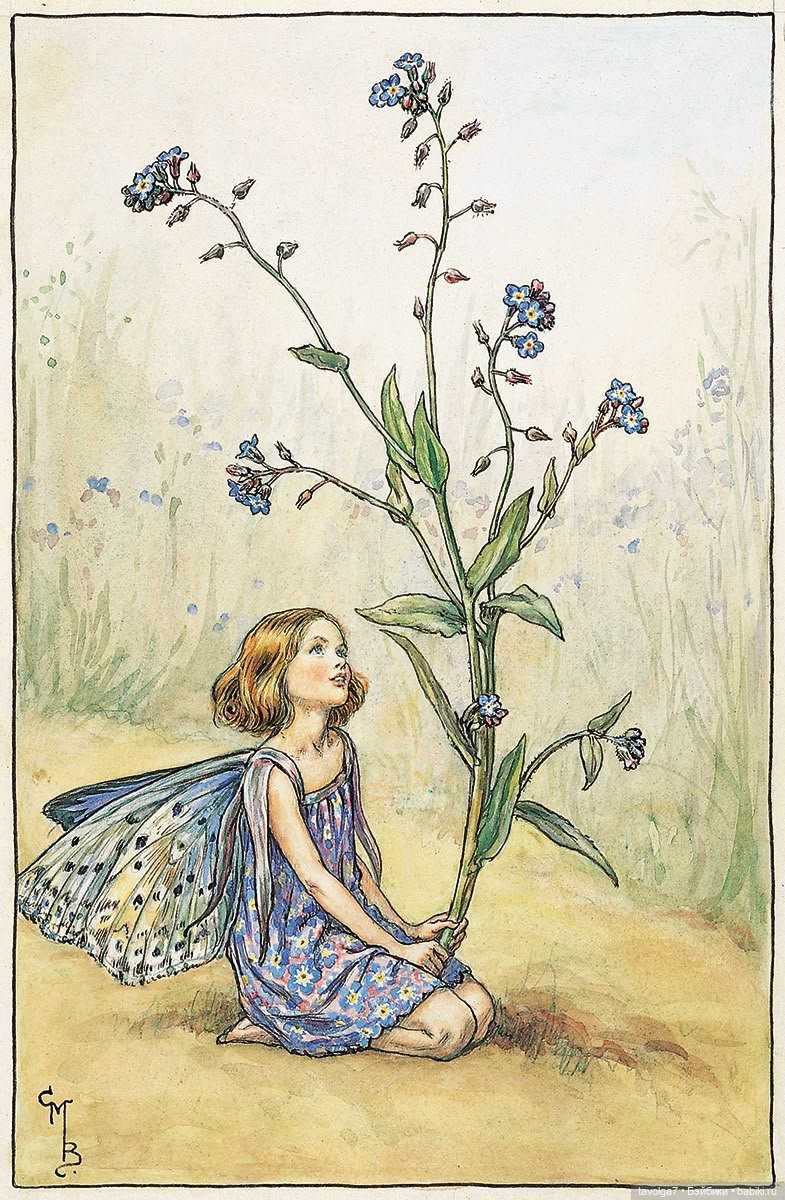 Голубой мая Light Spring - незабудки