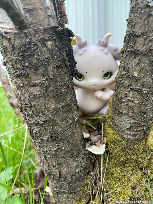 Открываем дачный сезон) — Коллекции кукол BJD (БЖД): фото витрин (фото 5)