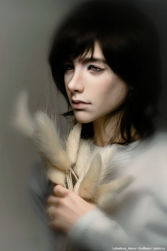 Ян, портретное — Куклы Dollshe Craft (Доллше): BJD (БЖД)