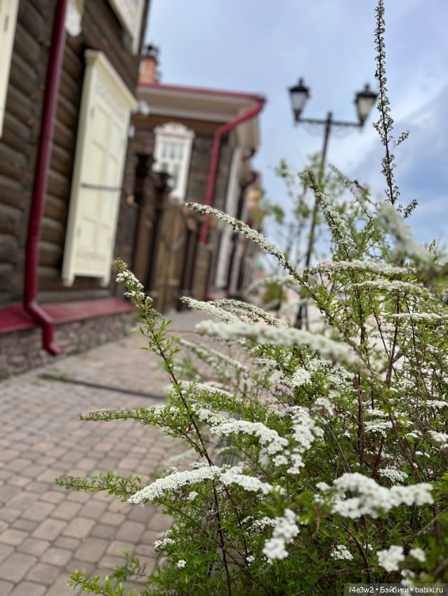 Экскурсия по Красноярску с шарнирной китайской куколкой (фото 8)