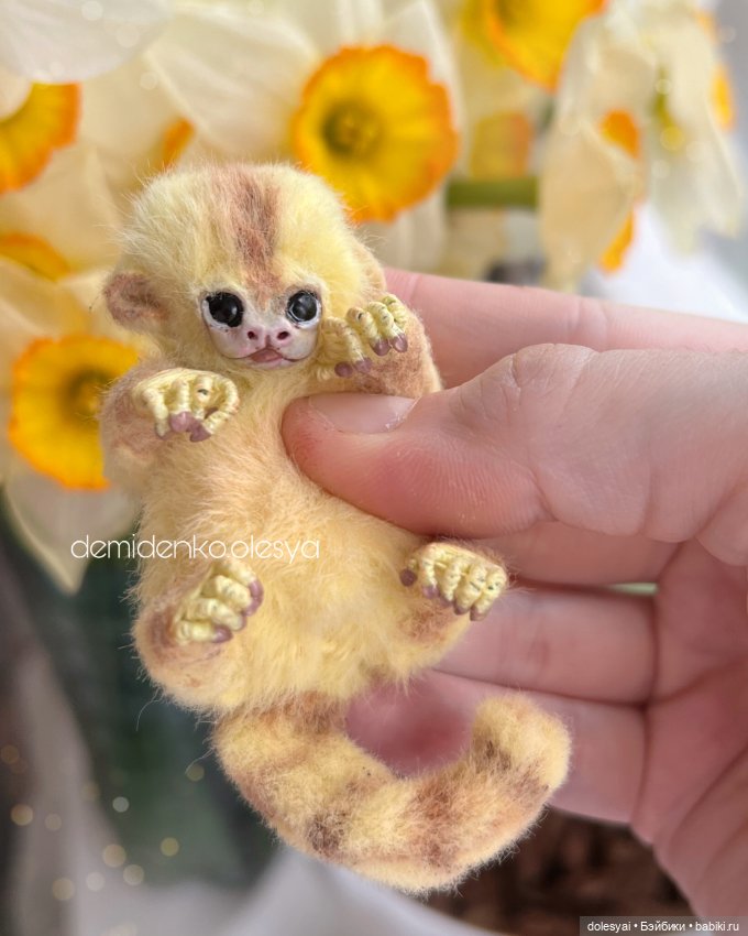 Миниатюрная обезьянка игрунка Лимонка 🍋 (фото 4)