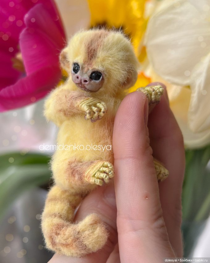 Миниатюрная обезьянка игрунка Лимонка 🍋 (фото 2)