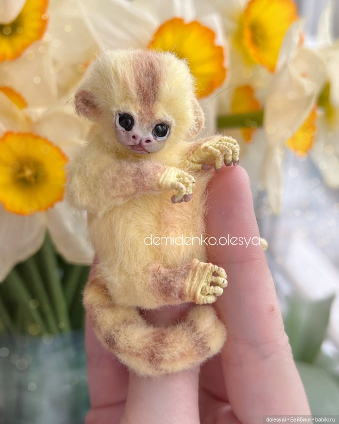 Миниатюрная обезьянка игрунка Лимонка 🍋 (фото 5)