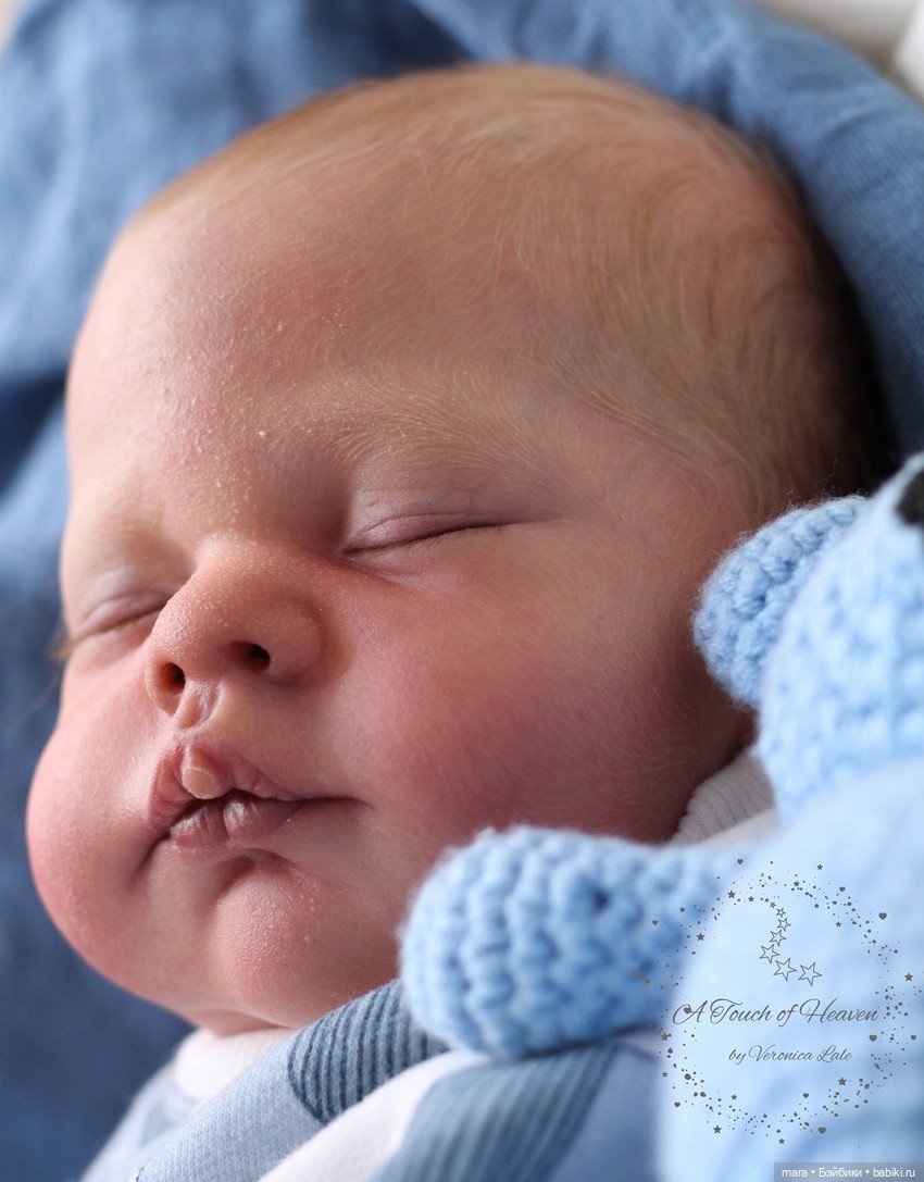 Maxan от Doris Moyers Hornbogen в исполнении Вероники Лале (Veronica Lale) (фото 7)