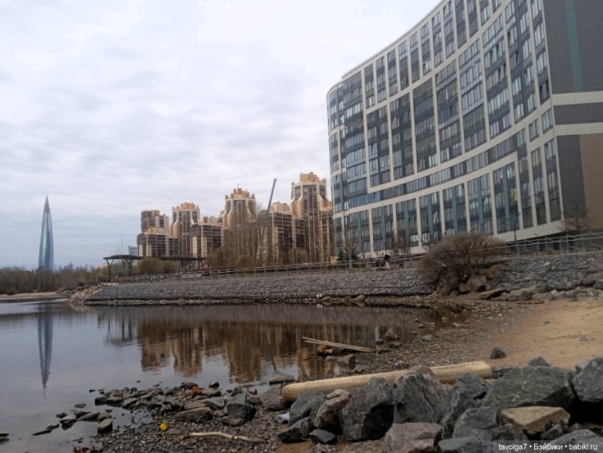 Дама с собачкой в Приморском районе