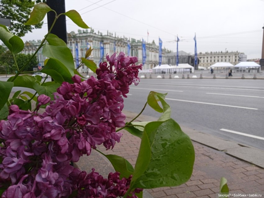 Тургенев в Питере — Туризм и путешествия: фотоотчеты из поездок