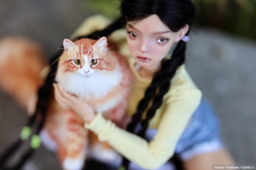 Мы украли кота (Jacoosun Josephine) (фото 7)