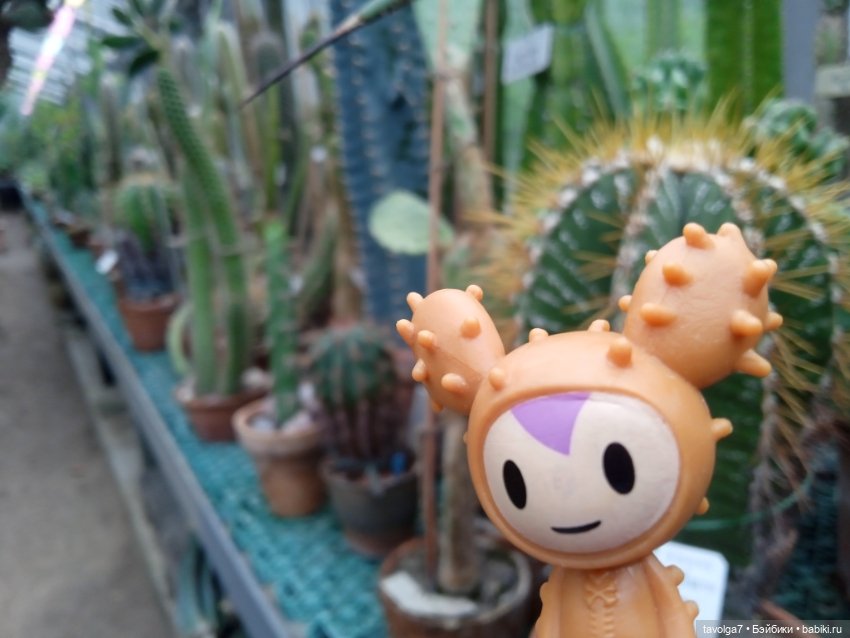 TokiDoki в Ботсаду Петра Великого