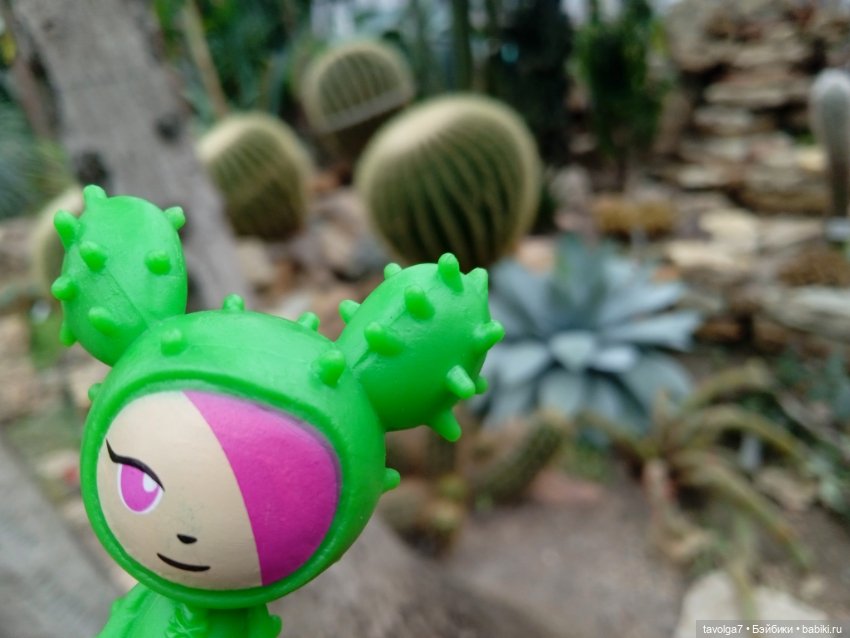 TokiDoki в Ботсаду Петра Великого