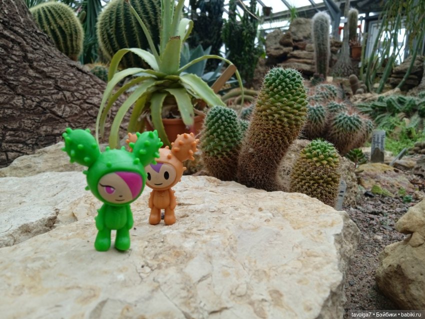 TokiDoki в Ботсаду Петра Великого