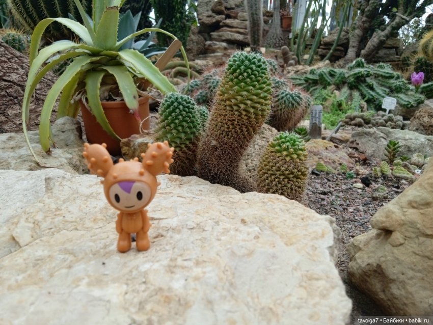 TokiDoki в Ботсаду Петра Великого