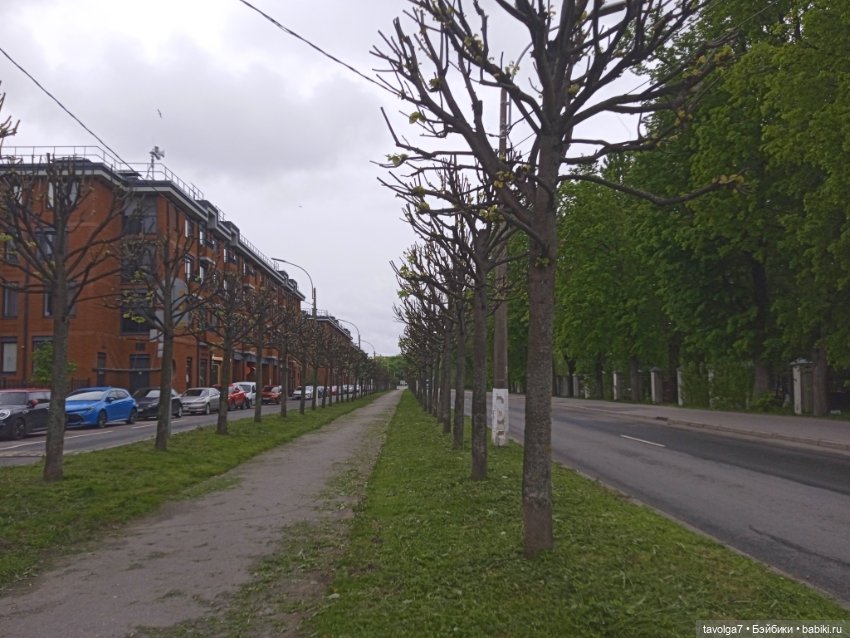 Тургенев и Ко в Кронштадте