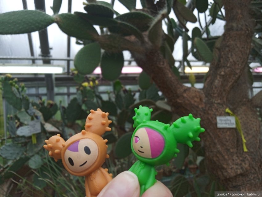 TokiDoki в Ботсаду Петра Великого