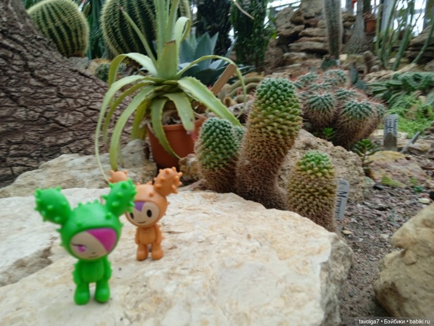 TokiDoki в Ботсаду Петра Великого