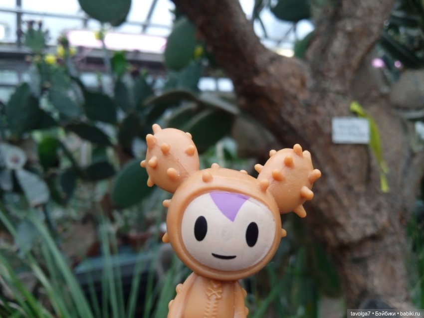 TokiDoki в Ботсаду Петра Великого